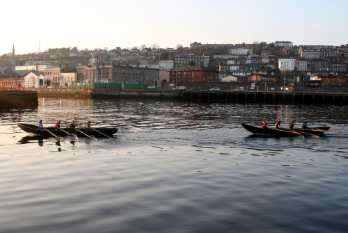 Currachs Rowing Into Cork City