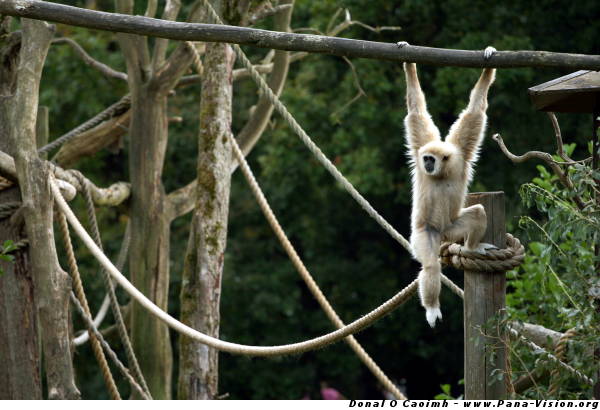 Hangin' Around at Fota