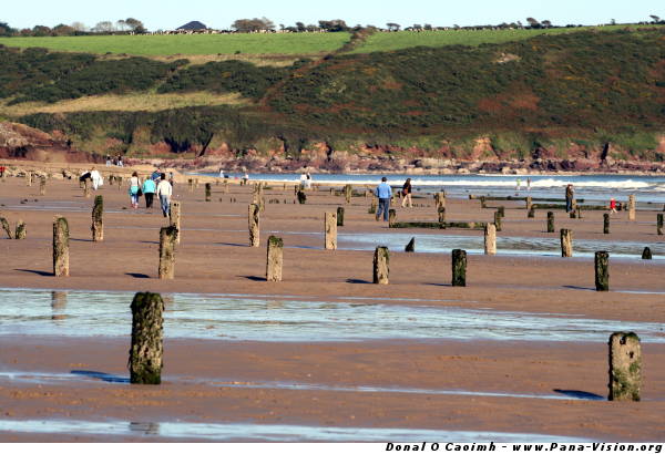 Looking back at Youghal