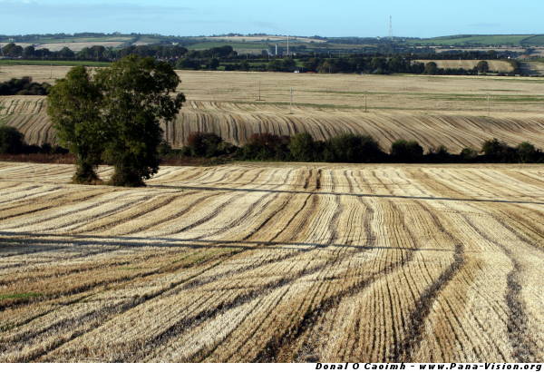 Fields of Autumn