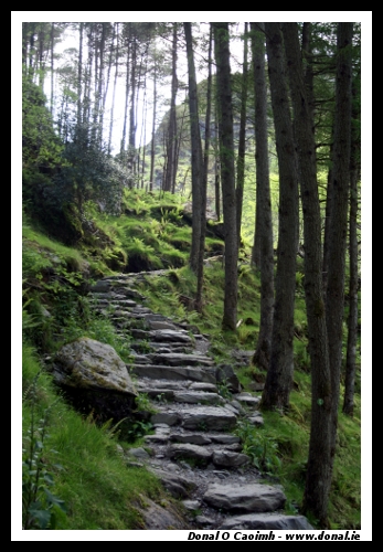 Stony Grey Steps of Guagán