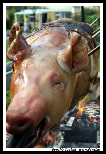 Smokin' Pig